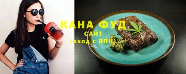 гидра Киреевск