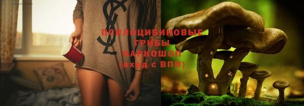 винт Касимов
