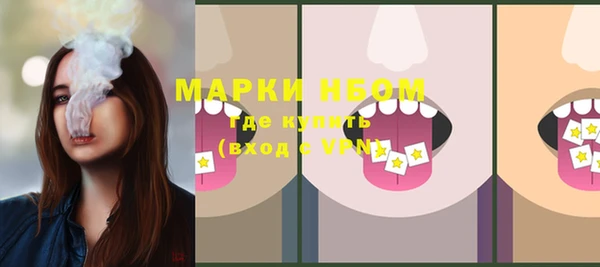 гидра Киреевск