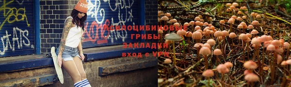 хмурый Киренск